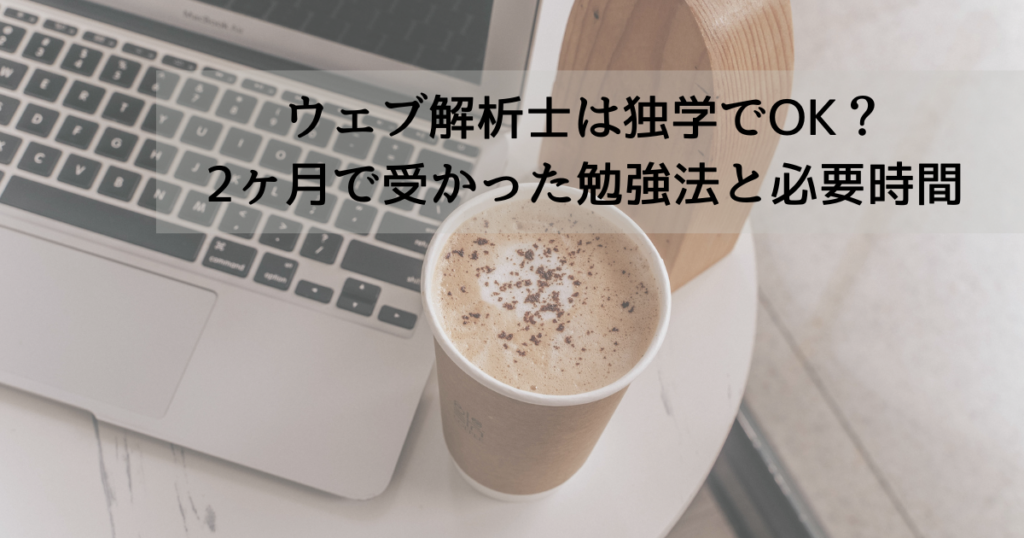 web-analyst-dokugaku