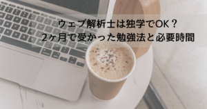 web-analyst-dokugaku