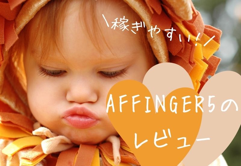 affinger-review